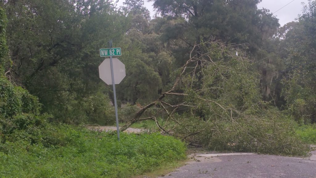 Hurricane Irma - Marion County - 11