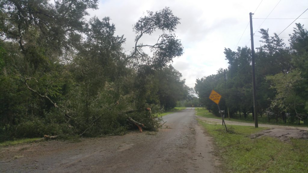 Hurricane Irma - Marion County - 7