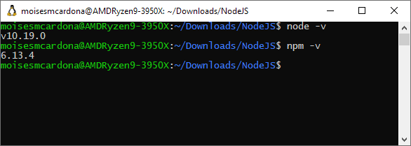 Checking NodeJS and npm versions