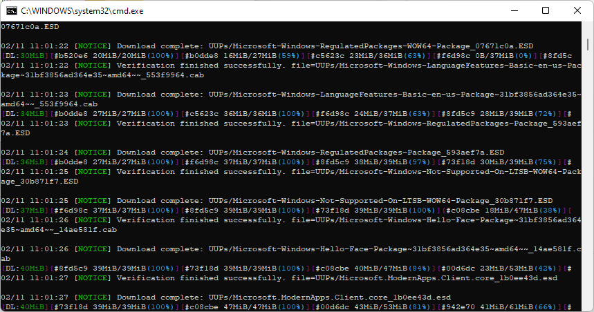 Downloading the Windows 10 build 19044.1561 x64 UUP files using the script generated by uupdump.net