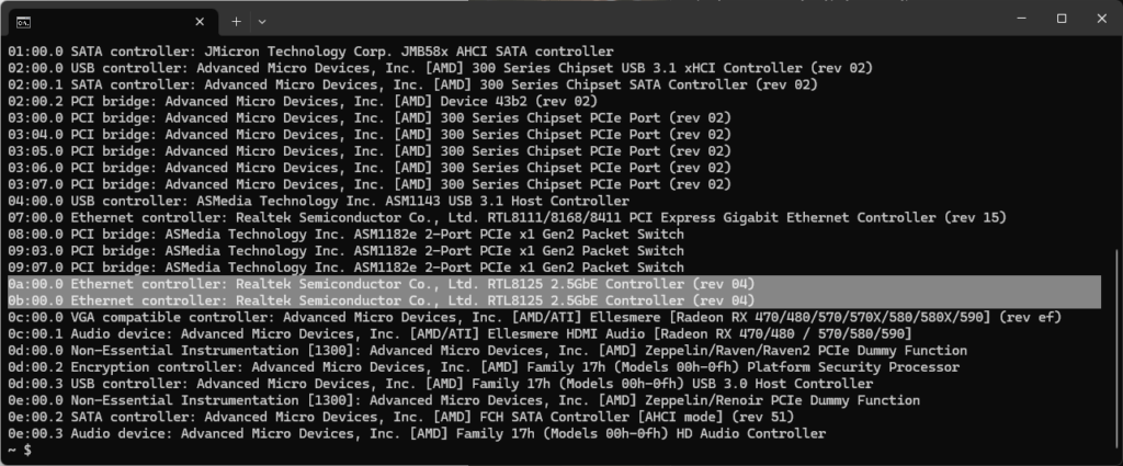 10 - IOCREST PCI Express x1 to Dual 2.5gbit LAN (Realtek RTL8125B) - Card in Linux lspci