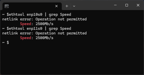 11 - IOCREST PCI Express x1 to Dual 2.5gbit LAN (Realtek RTL8125B) - Card Speed at 2500mbit