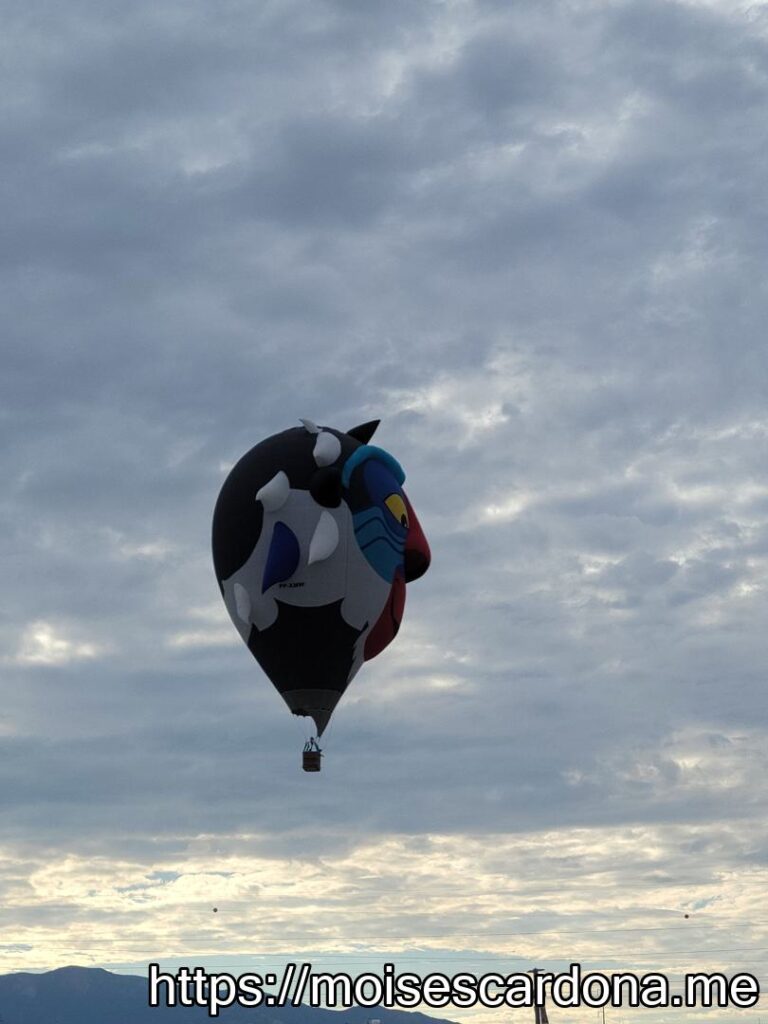 Balloon Fiesta 2022 142