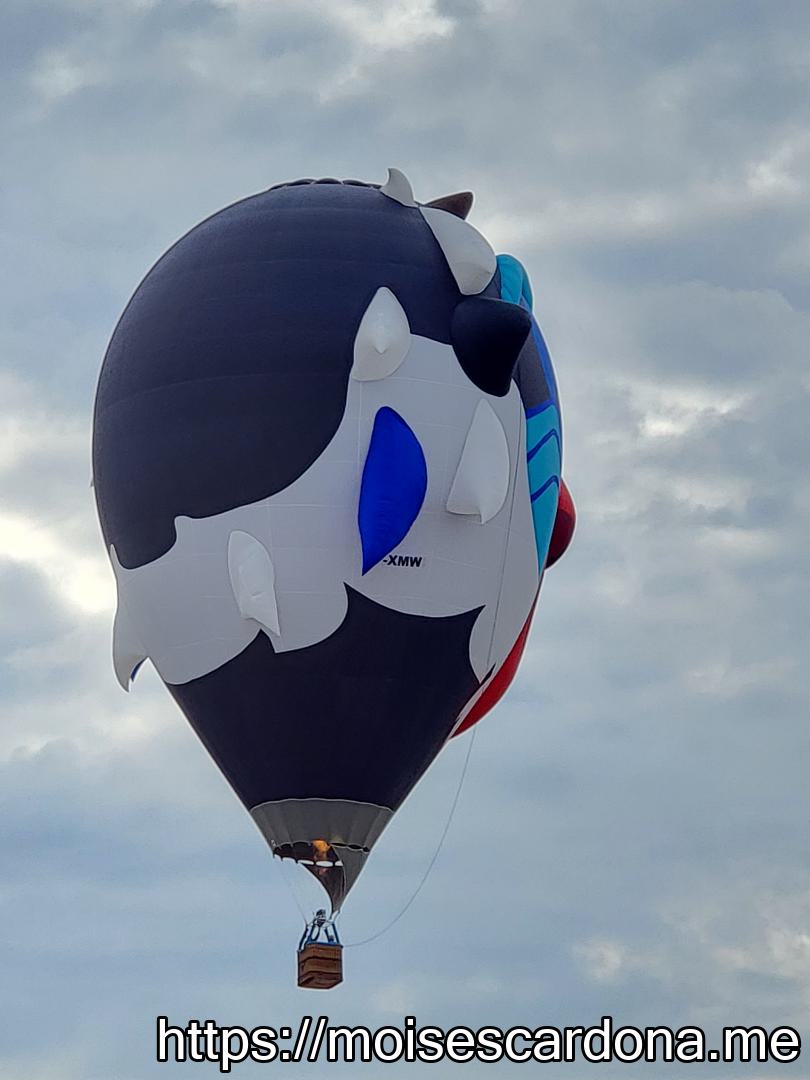Balloon Fiesta 2022 143