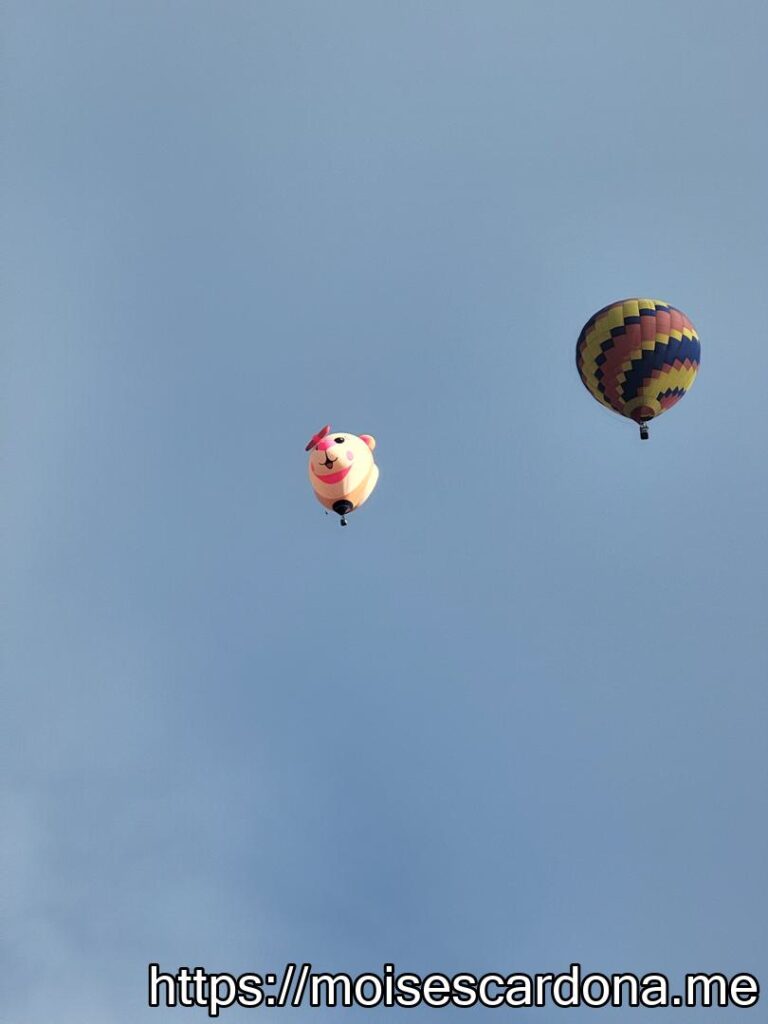Balloon Fiesta 2022 218