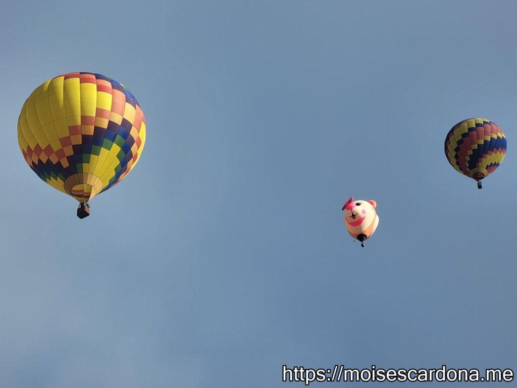 Balloon Fiesta 2022 219