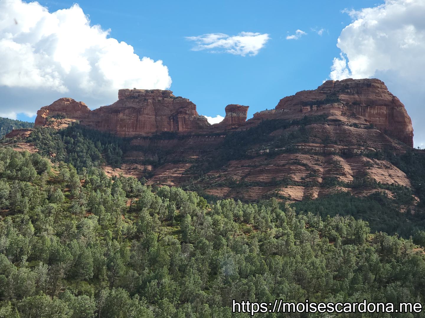 Coconino Forest - 1 - 2022-10 14
