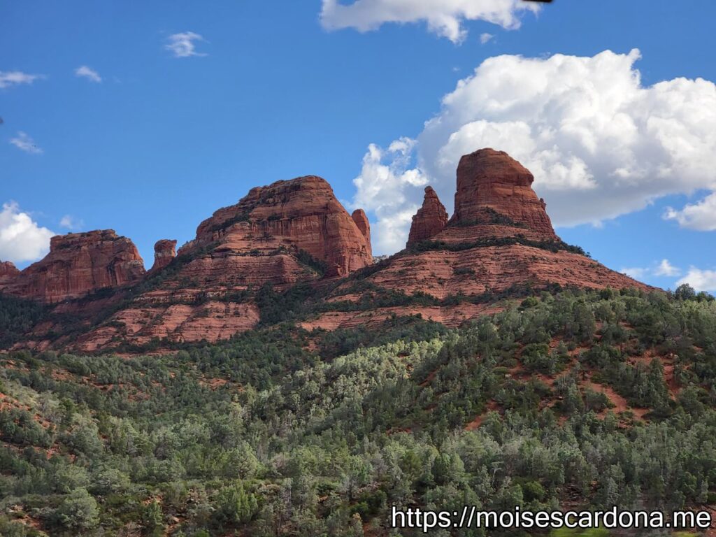 Coconino Forest - 1 - 2022-10 15