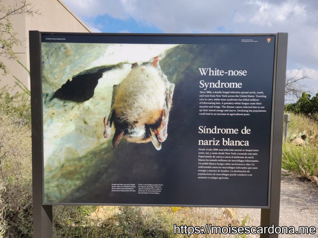 Carlsbad Caverns, New Mexico - 2022-10 011