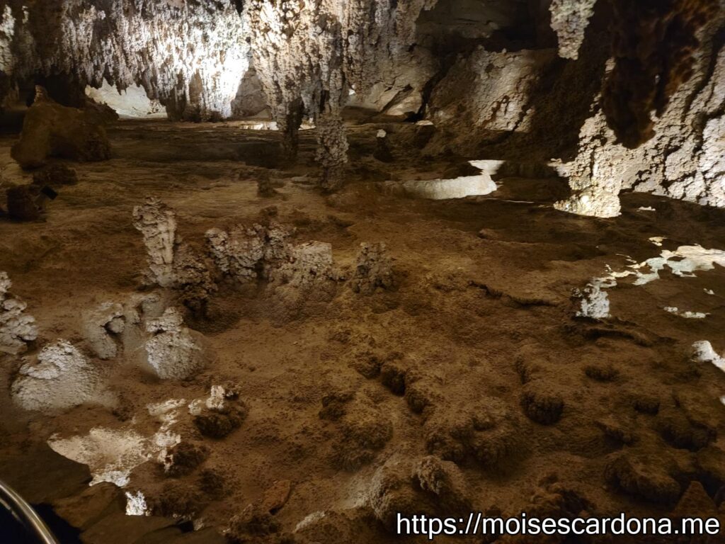 Carlsbad Caverns, New Mexico - 2022-10 031