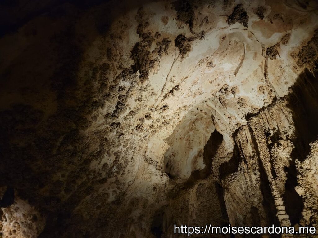Carlsbad Caverns, New Mexico - 2022-10 037