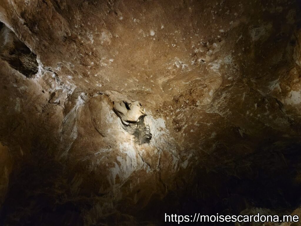 Carlsbad Caverns, New Mexico - 2022-10 053