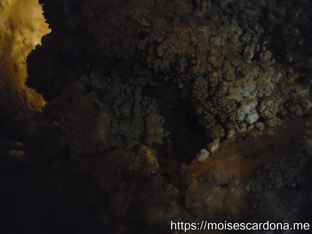 Carlsbad Caverns, New Mexico - 2022-10 054