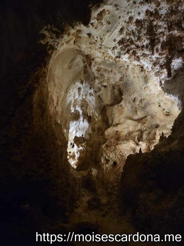 Carlsbad Caverns, New Mexico - 2022-10 057