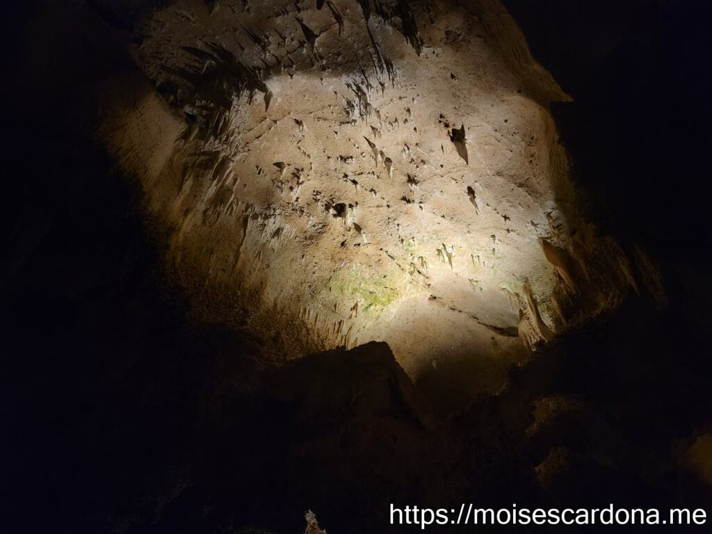 Carlsbad Caverns, New Mexico - 2022-10 061