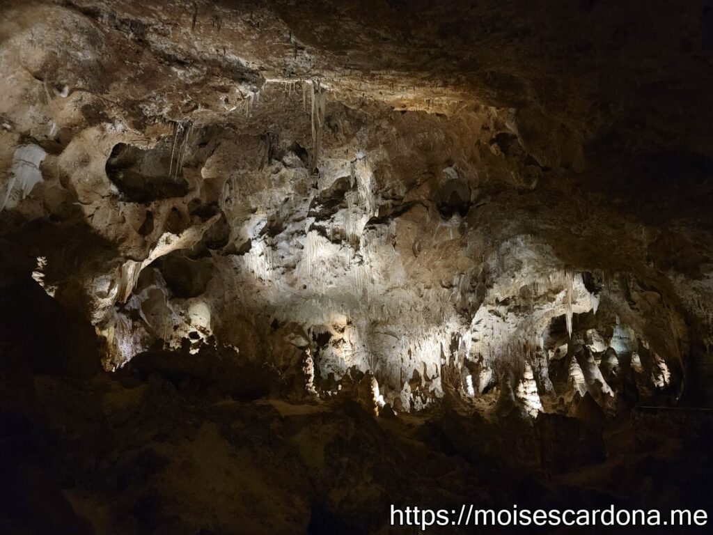 Carlsbad Caverns, New Mexico - 2022-10 068