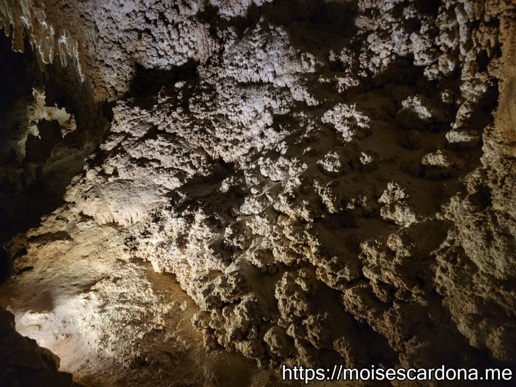 Carlsbad Caverns, New Mexico - 2022-10 071