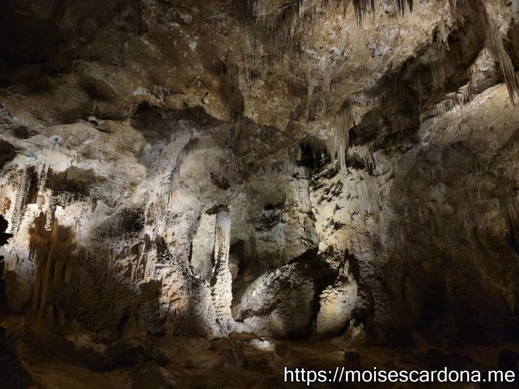 Carlsbad Caverns, New Mexico - 2022-10 081