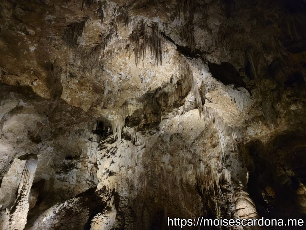 Carlsbad Caverns, New Mexico - 2022-10 082