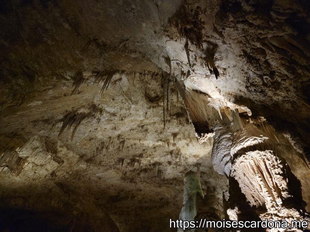 Carlsbad Caverns, New Mexico - 2022-10 090