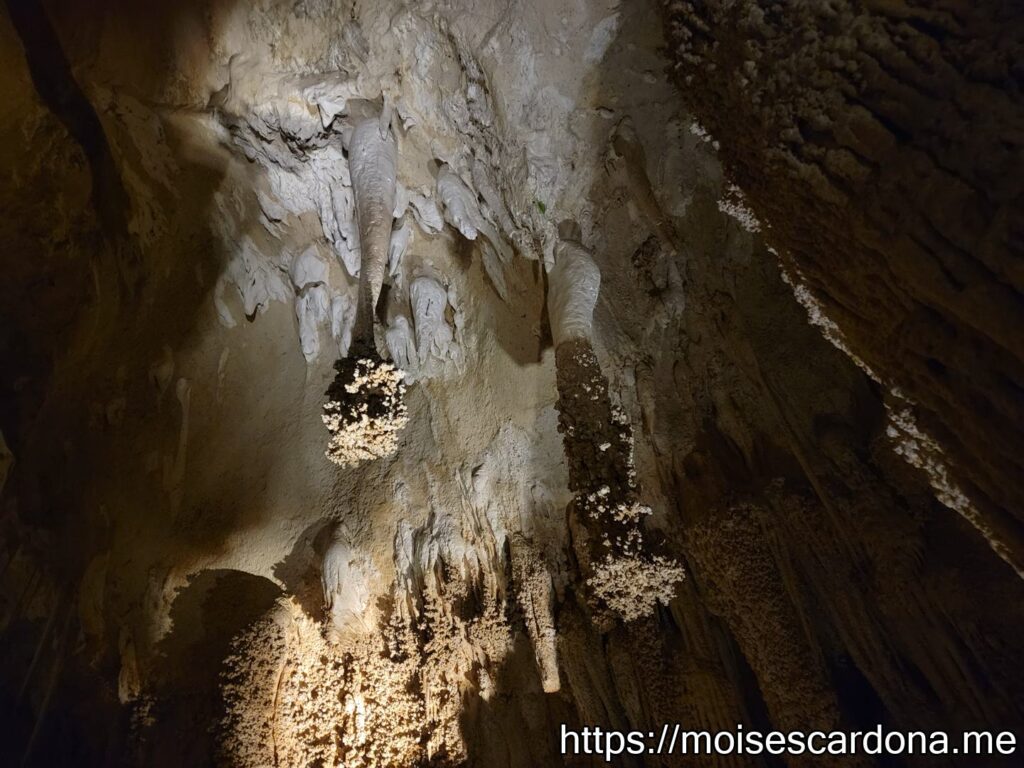 Carlsbad Caverns, New Mexico - 2022-10 091