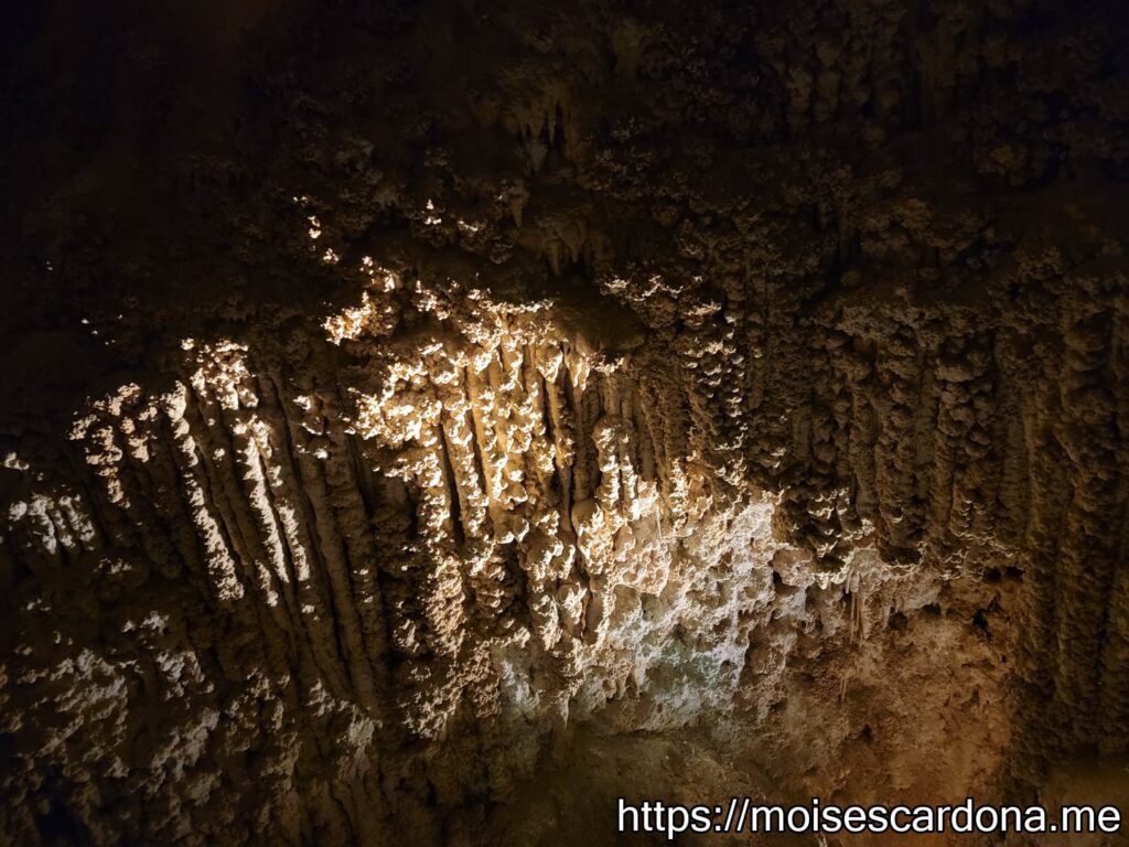 Carlsbad Caverns, New Mexico - 2022-10 093