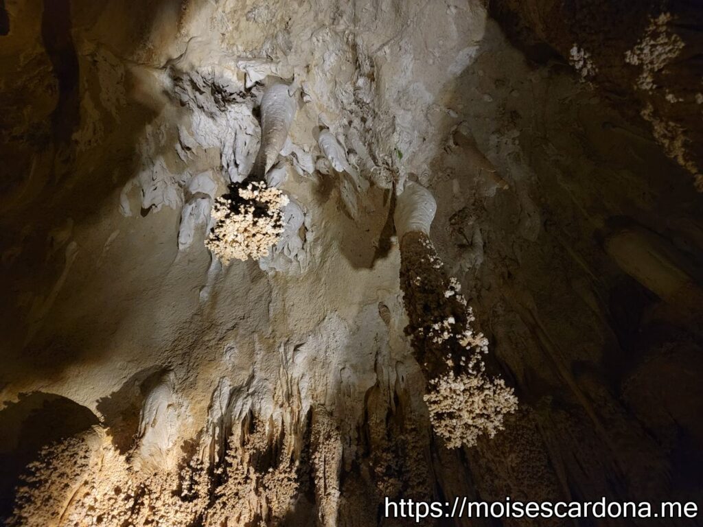 Carlsbad Caverns, New Mexico - 2022-10 094