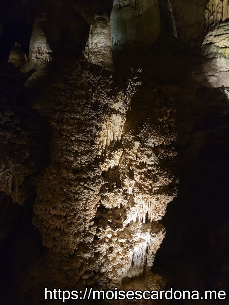 Carlsbad Caverns, New Mexico - 2022-10 095