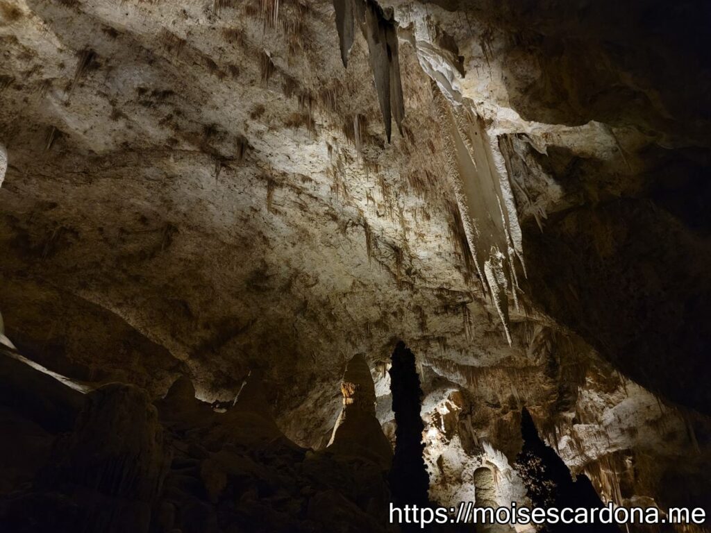 Carlsbad Caverns, New Mexico - 2022-10 107