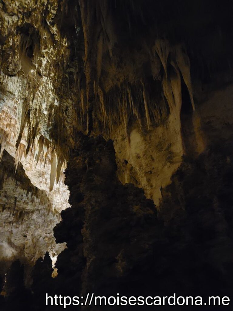 Carlsbad Caverns, New Mexico - 2022-10 111