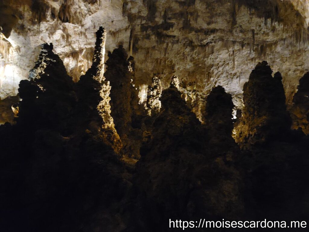 Carlsbad Caverns, New Mexico - 2022-10 113