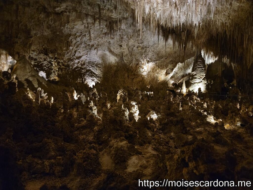 Carlsbad Caverns, New Mexico - 2022-10 115