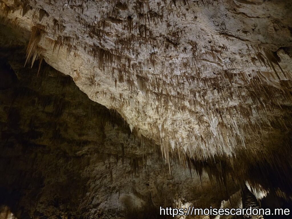 Carlsbad Caverns, New Mexico - 2022-10 116