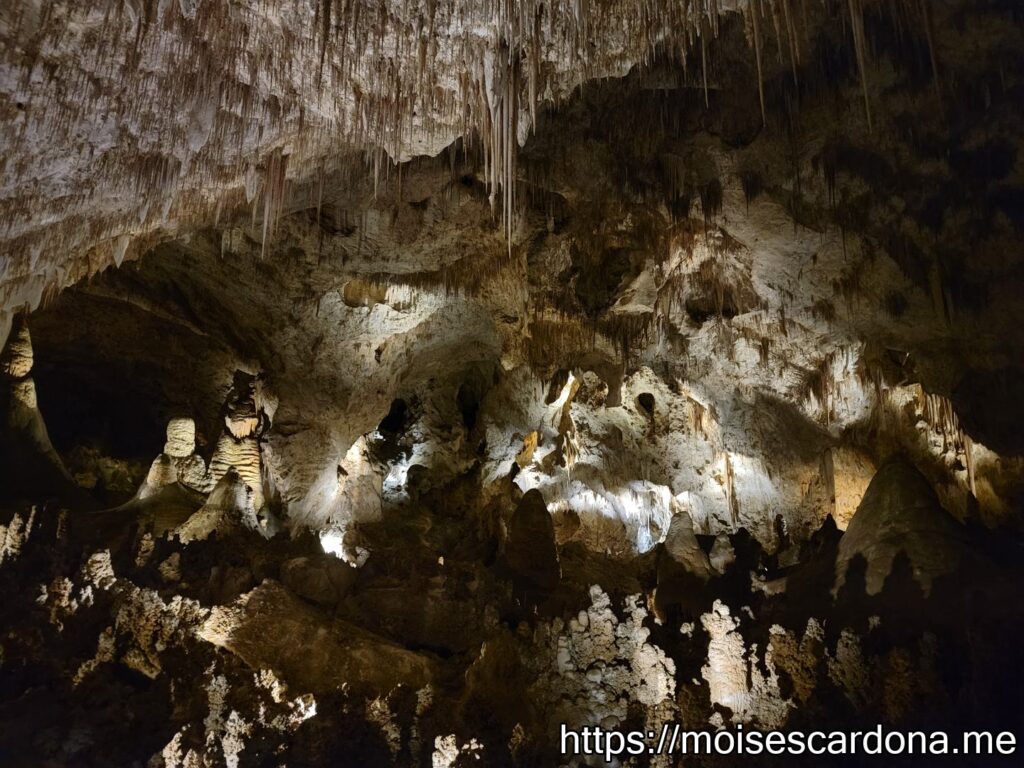 Carlsbad Caverns, New Mexico - 2022-10 122