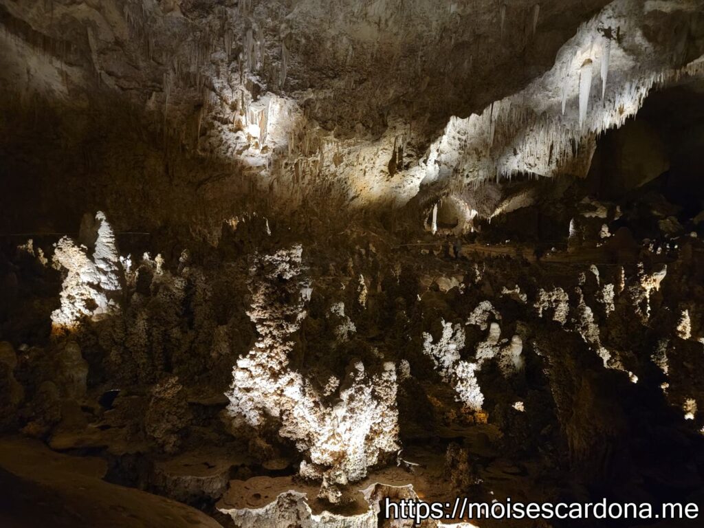 Carlsbad Caverns, New Mexico - 2022-10 124