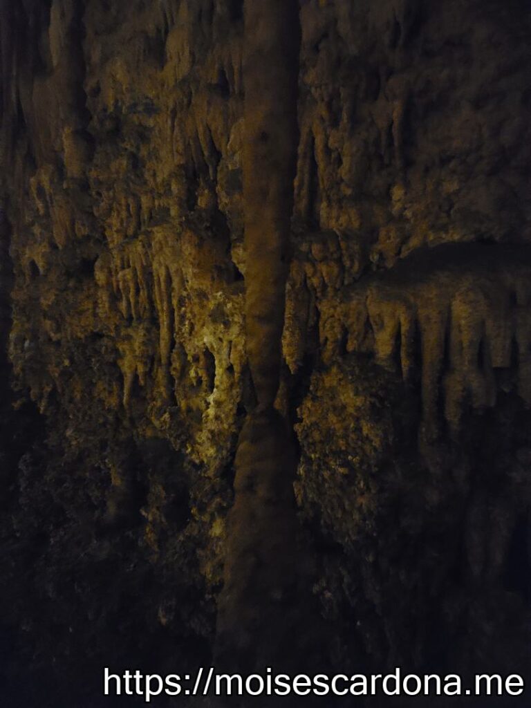 Carlsbad Caverns, New Mexico - 2022-10 125