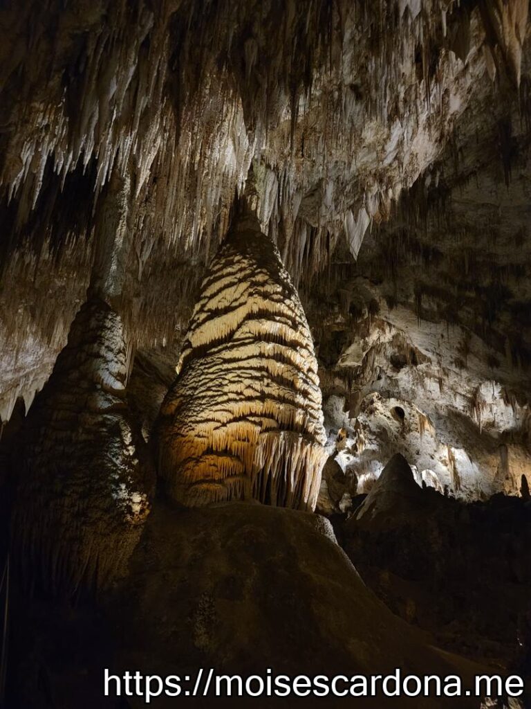 Carlsbad Caverns, New Mexico - 2022-10 129