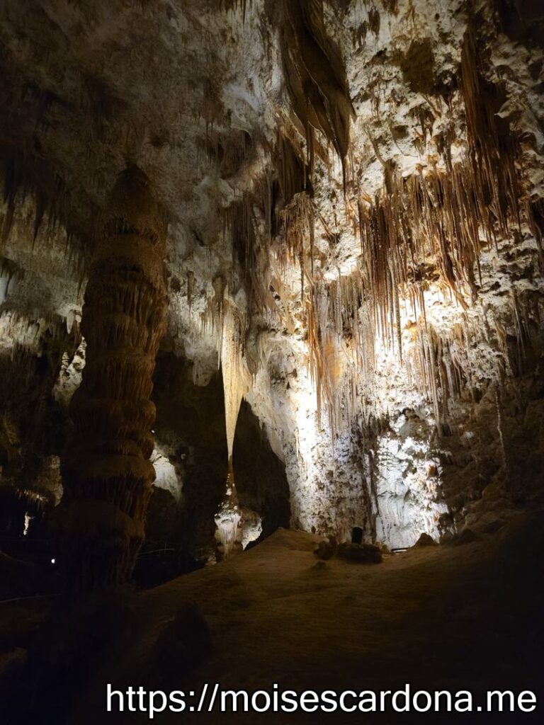 Carlsbad Caverns, New Mexico - 2022-10 130