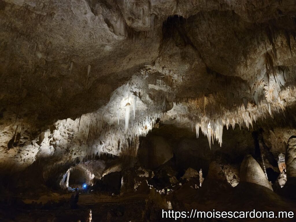Carlsbad Caverns, New Mexico - 2022-10 133