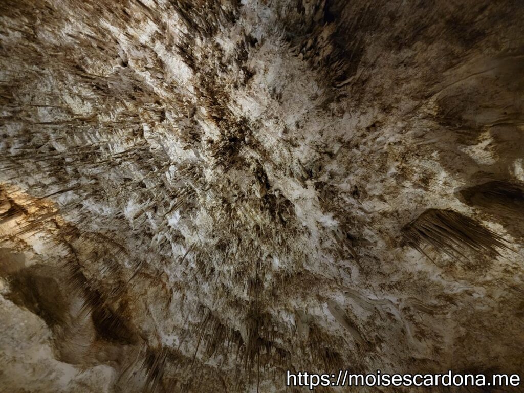 Carlsbad Caverns, New Mexico - 2022-10 134