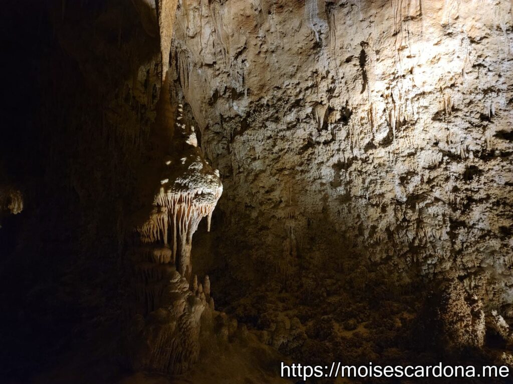Carlsbad Caverns, New Mexico - 2022-10 136