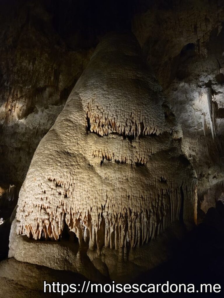 Carlsbad Caverns, New Mexico - 2022-10 144