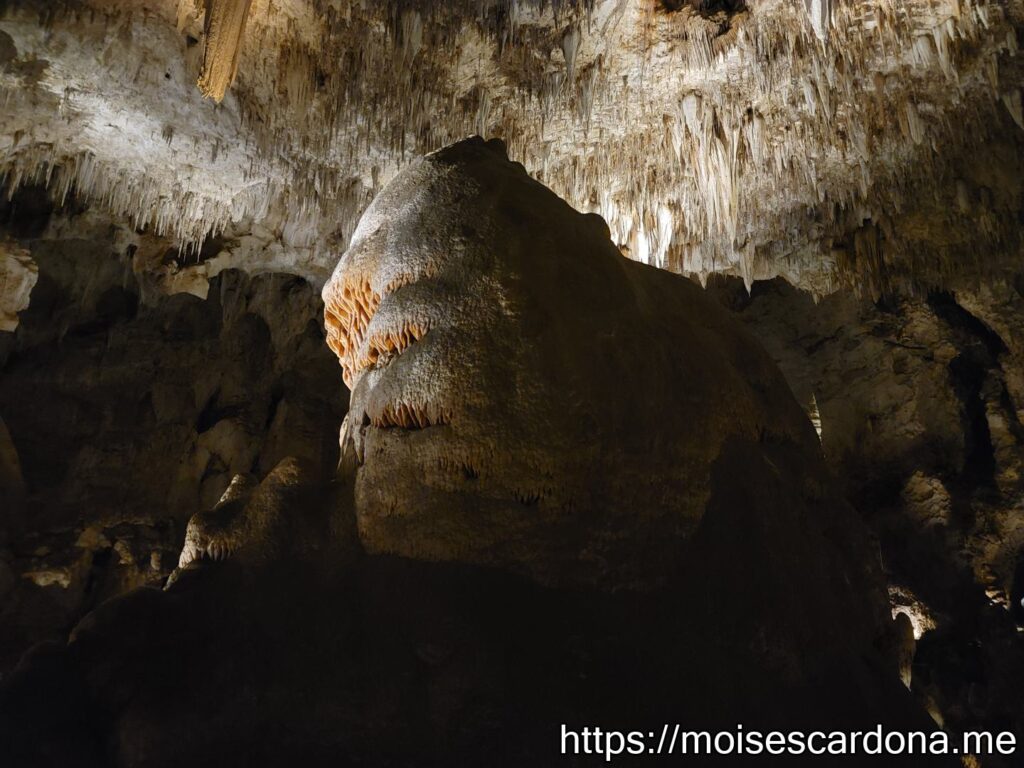 Carlsbad Caverns, New Mexico - 2022-10 147