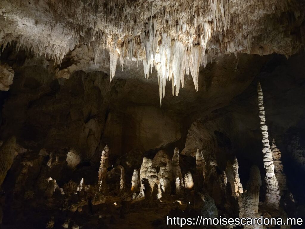 Carlsbad Caverns, New Mexico - 2022-10 150