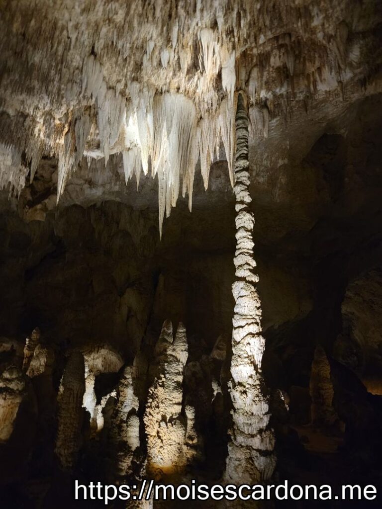 Carlsbad Caverns, New Mexico - 2022-10 155
