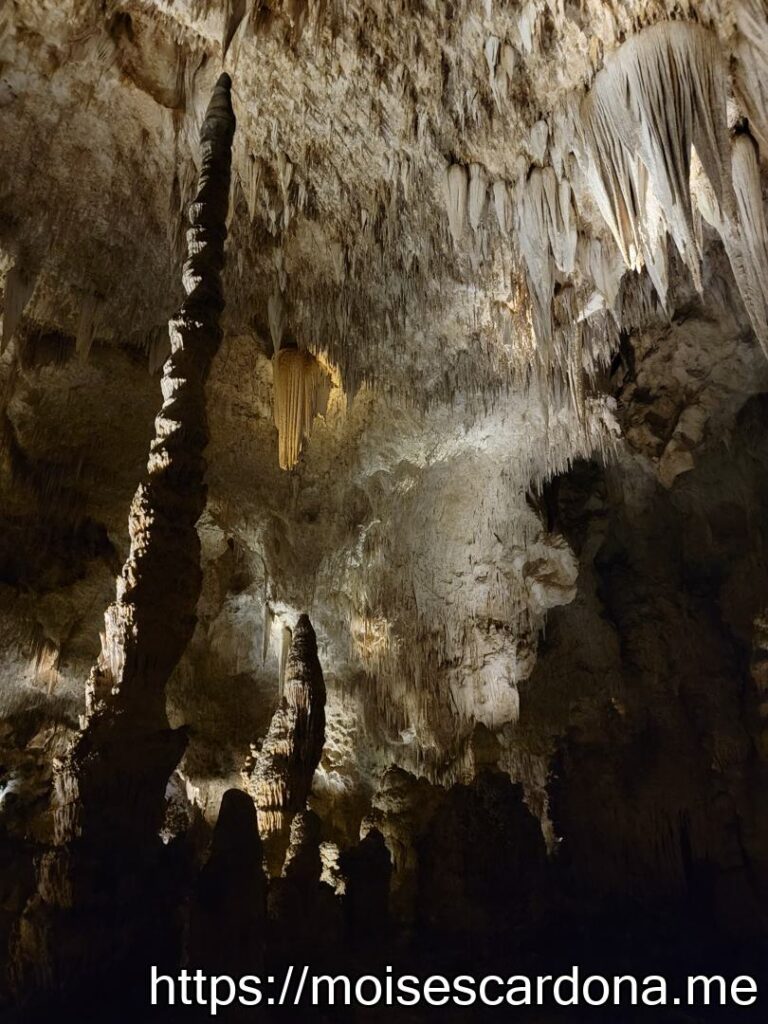 Carlsbad Caverns, New Mexico - 2022-10 156