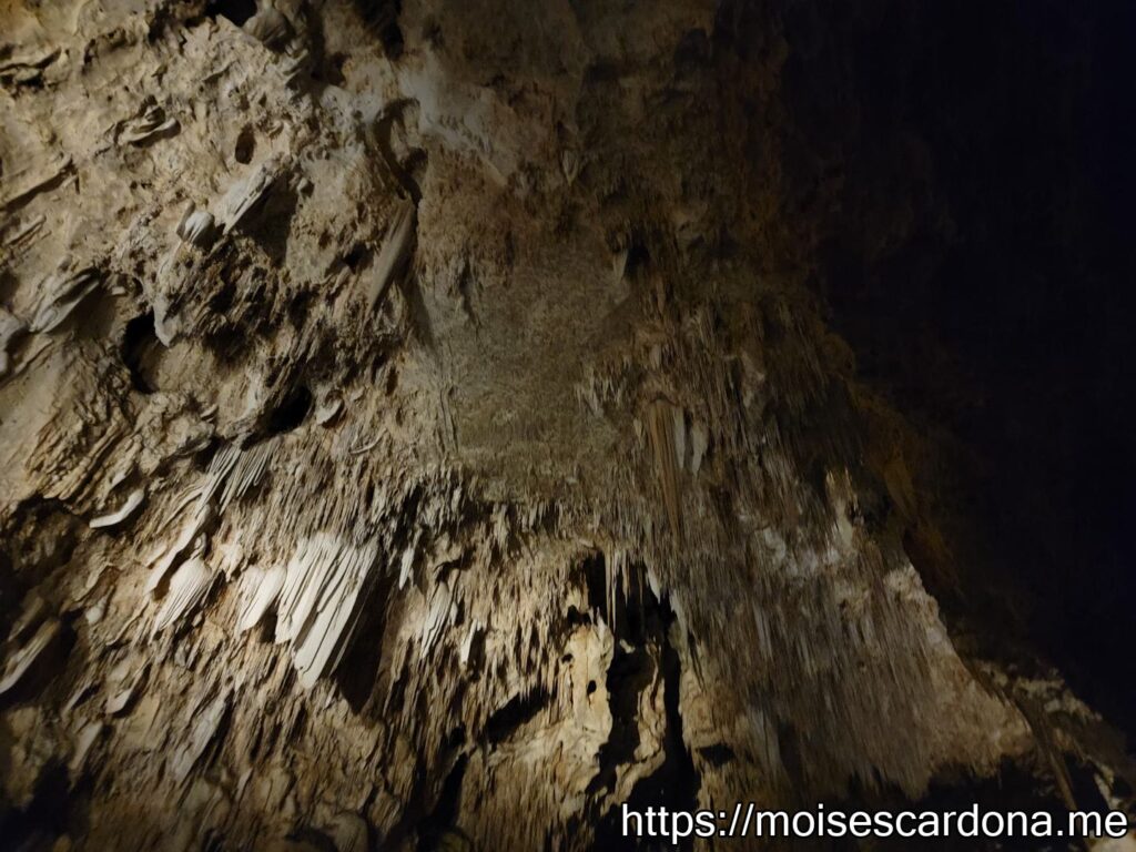 Carlsbad Caverns, New Mexico - 2022-10 186