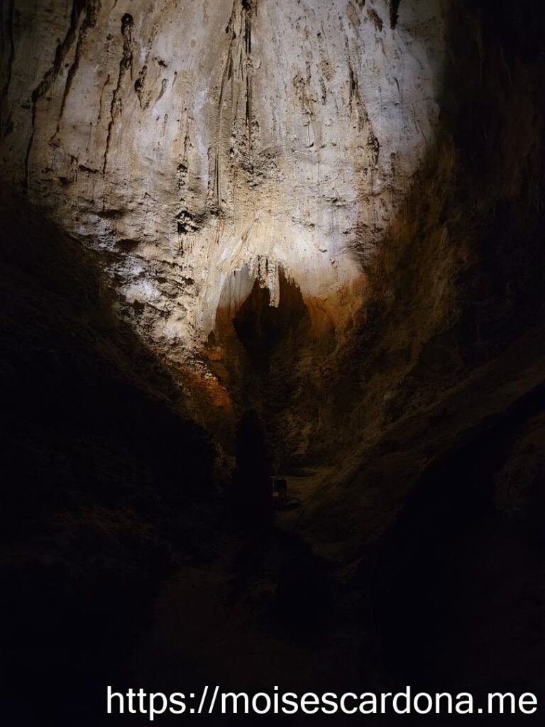 Carlsbad Caverns, New Mexico - 2022-10 219