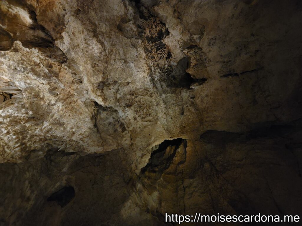 Carlsbad Caverns, New Mexico - 2022-10 229
