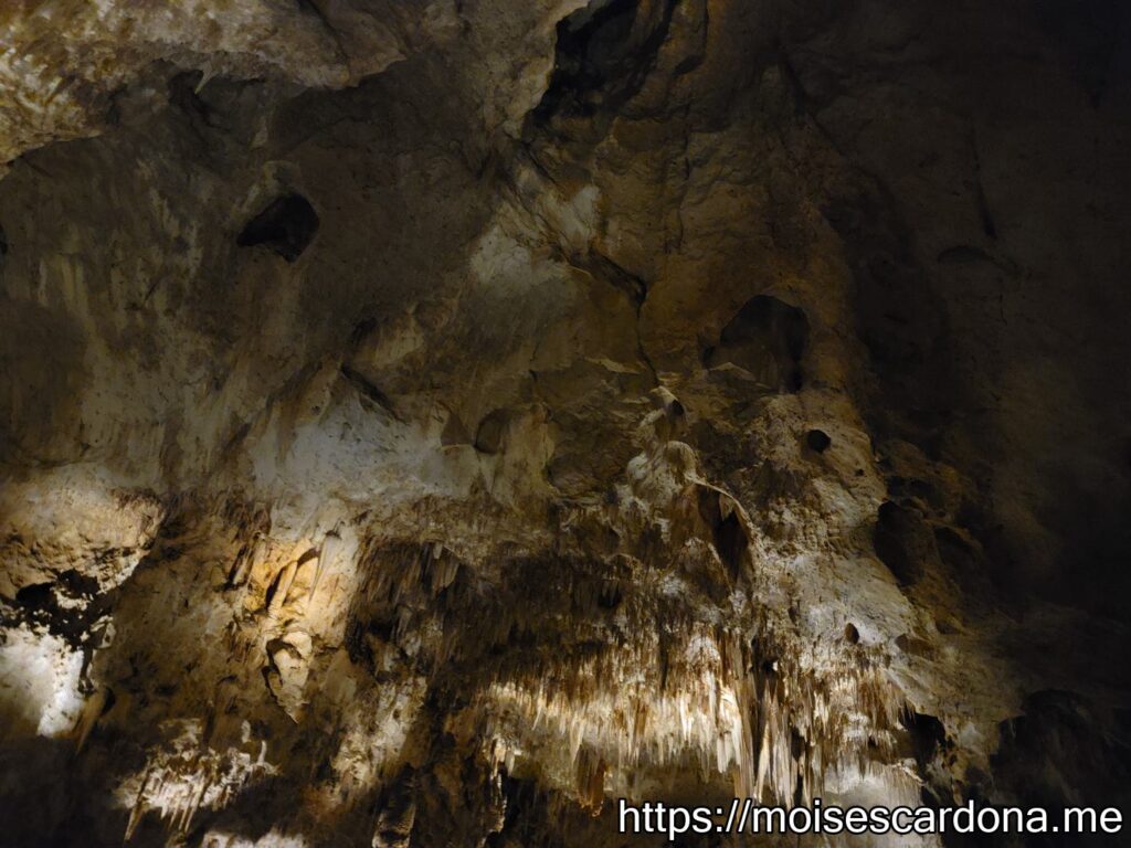 Carlsbad Caverns, New Mexico - 2022-10 230